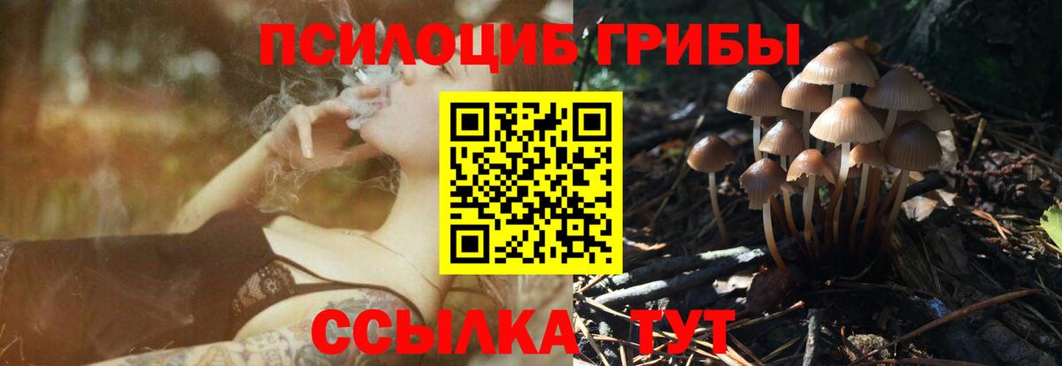 Галлюциногенные грибы прущие грибы Зеленокумск